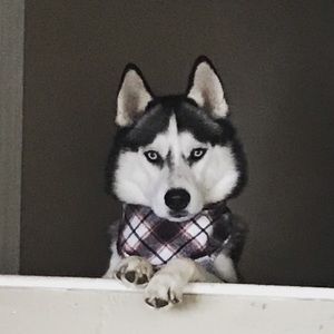 Meet your Posher, Nichole